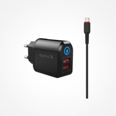 ICONIX IC-HC1025 (USB /IPHONE)