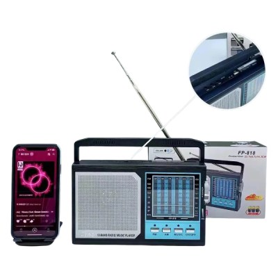 FEPE RADIO FP-818